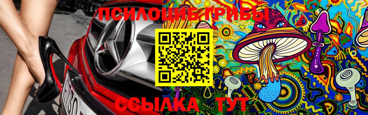 Заречный  Псилоцибиновые грибы GOLDEN TEACHER  Вход с VPN 